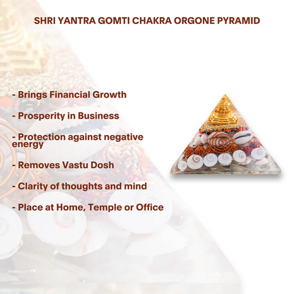 Laxmi Wealth Pyramid
